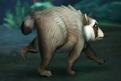 Vaskebjørnkjendis blir kjæledyr i World of Warcraft
