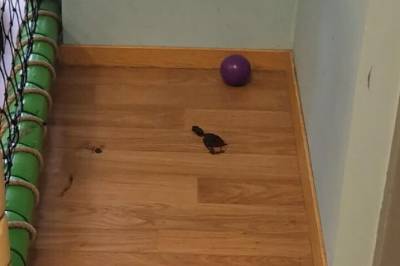 Småbarnsfar reagerer etter sjokkfunn