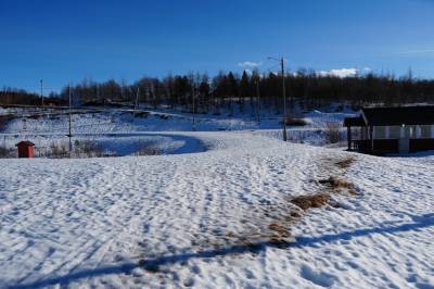 Her stikker gresstustene opp: Nå avlyser Marcialonga løpet i Bodø