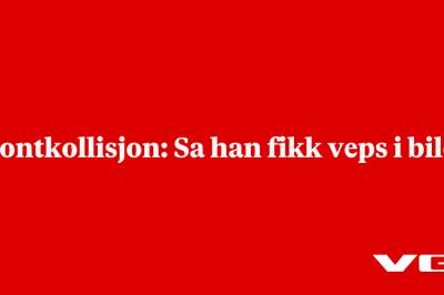 Frontkollisjon: Sa han fikk veps i bilen