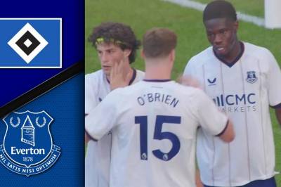 Se høydepunktene fra Hamburger SV - Everton