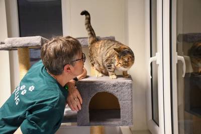 Ingen røde dager for dyreomsorgen