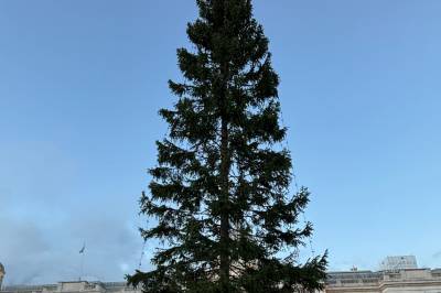 London: Følg tenningen direkte