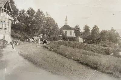 – Dette er fælande dyrt &bull; Birkenesavisa