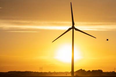 Den giftige vindkraften