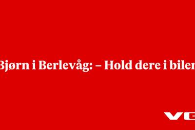 Bjørn i Berlevåg: – Hold dere i bilen