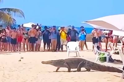 Feriemareritt på stranden