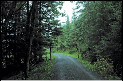 Hyldbakk-offer: – Styrelederen bør tenke seg om