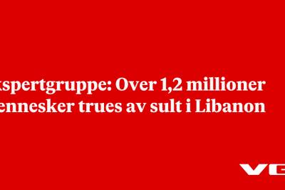 Ekspertgruppe: Over 1,2 millioner mennesker trues av sult i Libanon