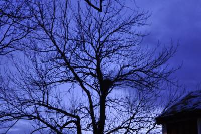 Året som går ‑ desember