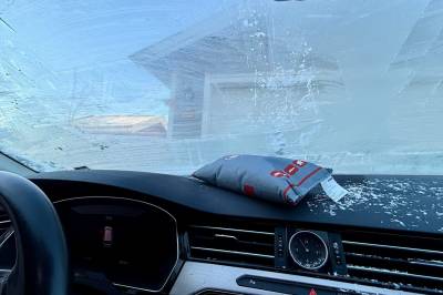 Hvilke dingser skilte seg ut i 2025?