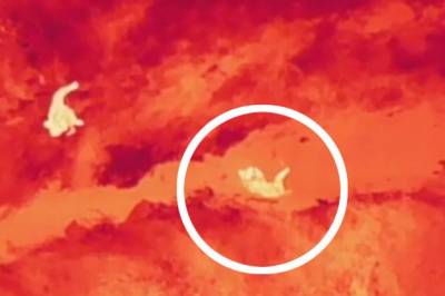 Fanget etter ni dager på rømmen