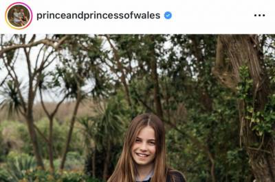 Prinsesseportrett vekker oppsikt