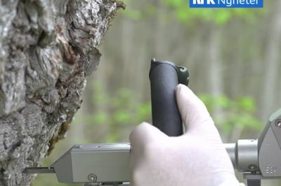 Vaksinerer tre for å stoppe spreiing i Sogn