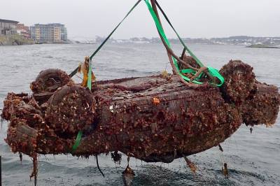 Nesten 200 tips om skader på livet i Oslofjorden