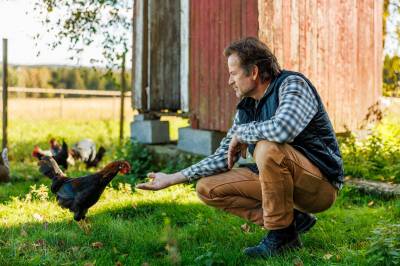 Kraftig fall for «Jon blir bonde»