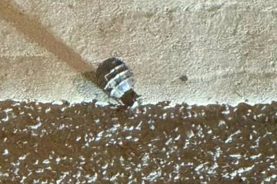 Slik henger sakene sammen