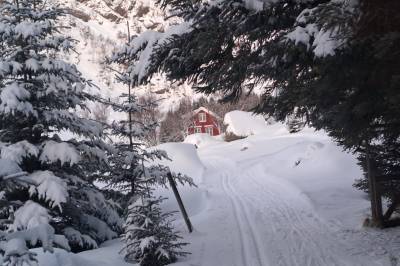God morgen, Lofoten! Snøskredfare, manuell dirigering, nordlys og fotballkamp