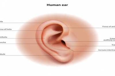 Øreakupressur mot insomni