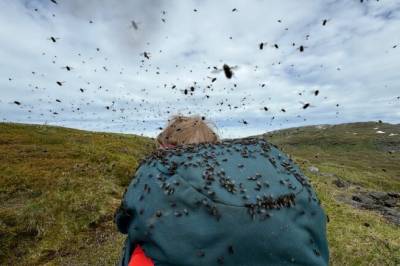Ble bombardert av fluer på tur: – Det var grusomt