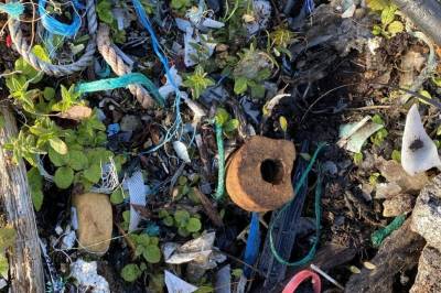 Slik påvirker mikroplast karbonopptaket i havet