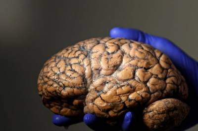 Forskere sabler ned studier om mikroplast i kroppen: – En vits