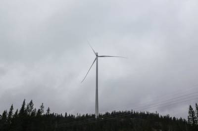 Vindkraft på Finnskogen