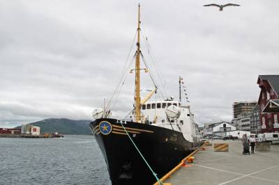 Vil frede «Salten»