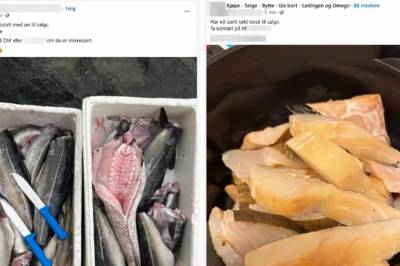 Advarsel om fiskesalg på Facebook skapte storm: – Krasj med kystkulturen