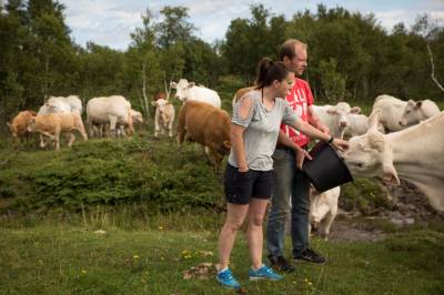 Superkjøtt fra Austbø i finalerunde