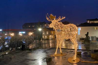 Elgen ‘Inge’ godt tjoret