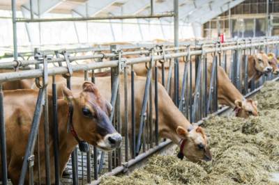 Metanhemmere settes på pause: – Det blir viktig å følge med på hva danske fagmiljøer finner ut