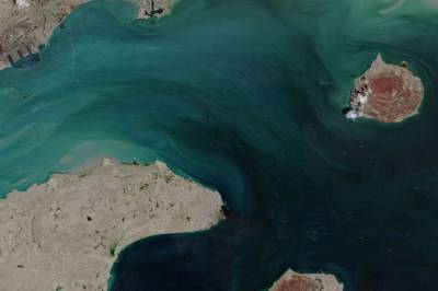 20 skip var på vei ut Hormuzstredet. De fleste snudde.