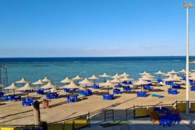 Turist døde – bitt av kobra under hotellshow