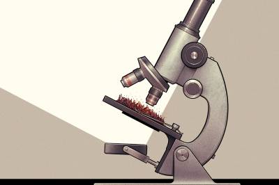 Bør det brukes flere eksperter i politikken?