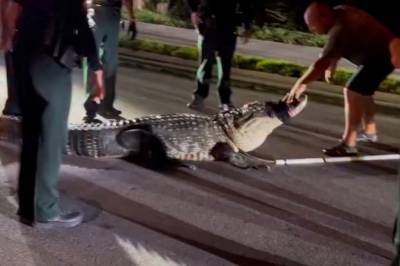 Klar beskjed:– Flytt dere!