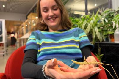 Pinnedyrene hjelper studentene mot eksamensknekken