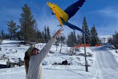 Accio stakk av på hyttetur: – Litt bekymret med tanke på at det skal bli dårlig vær i morgen