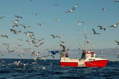 Større båter som fisker innenfor fjordlinja: Tommelen opp fra fylkestingets flertall