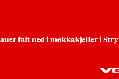 Sauer falt ned i møkkakjeller i Stryn