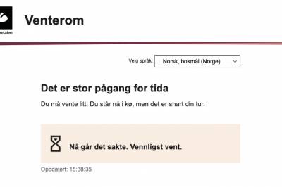 Skatteetaten har problemer – får opp andre enn seg selv