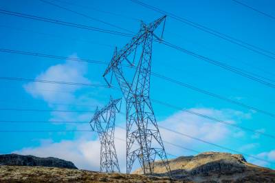 Det etterlyses en smartere løsning enn norgespris. Her er den.