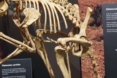 Denne utdødde kjempen kunne hoppe