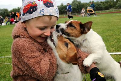 Sett utenfra: Et hundeliv hos Joksemor