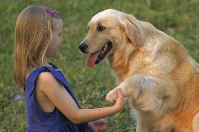 Hva heter denne hunderasen?