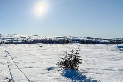 Nye tremåneders-prognoser for været