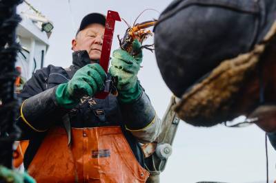 - Det er helt absurd