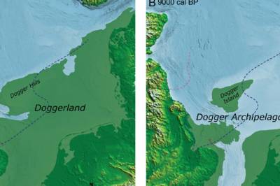DNA-studie gir nytt innblikk i hva som levde på det tapte landområdet i Nordsjøen