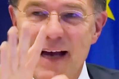 Rutte om forsvar uten USA: – Lykke til