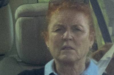 - Hun har gått under jorden